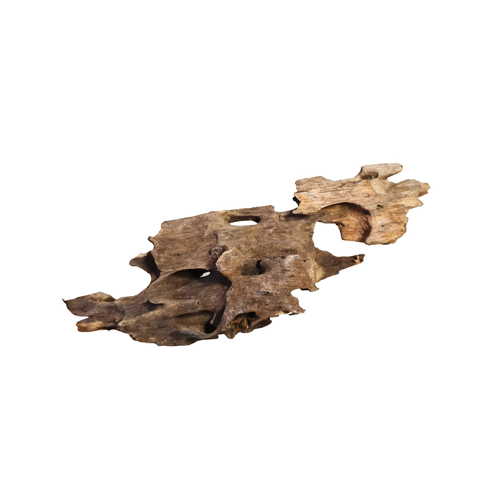 Korzeń Dragon Wood Smoczy Korzeń S 15-20cm Dekoracja Akwarium Hardscape